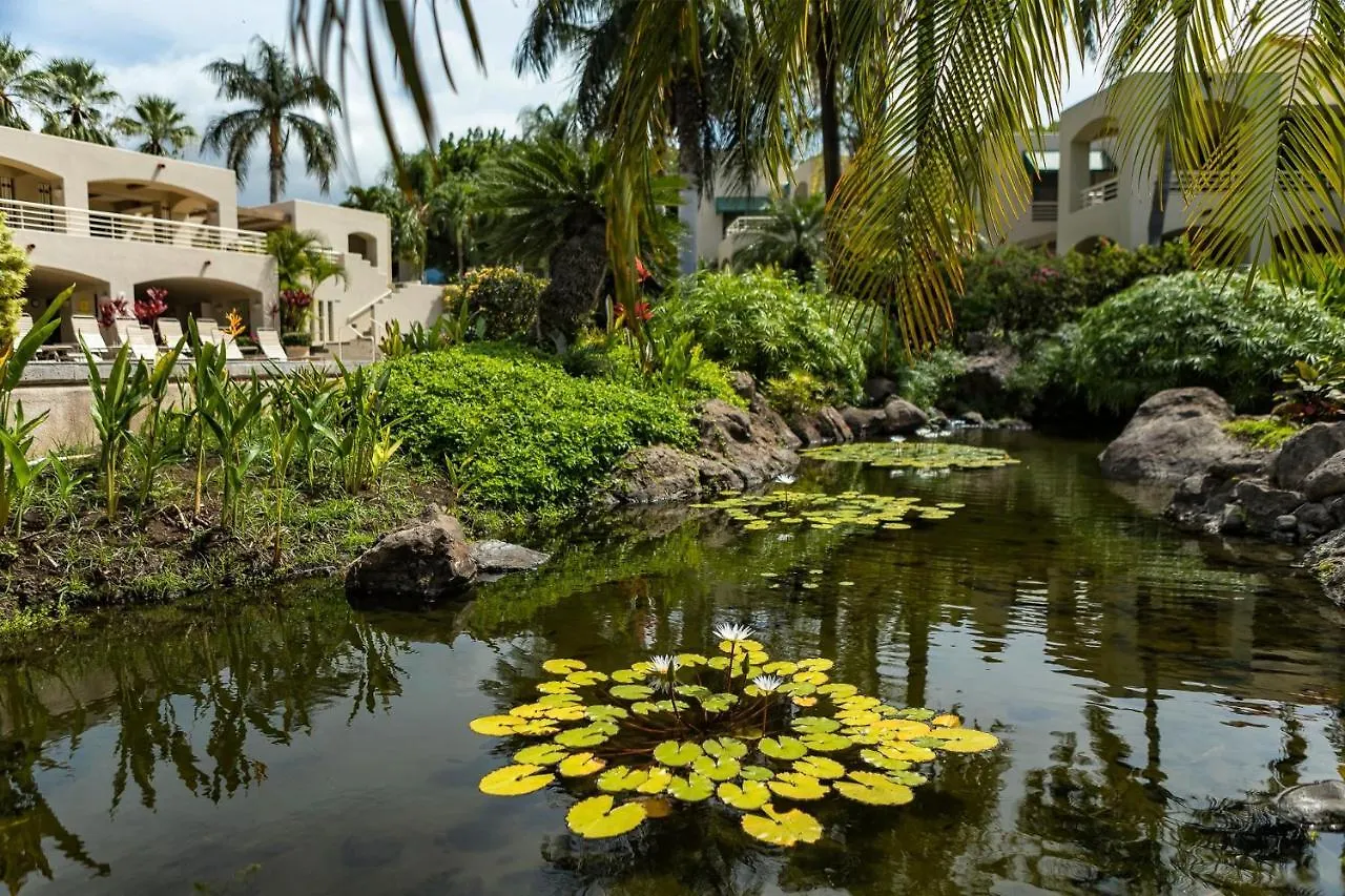 Palms At Wailea One Bedrooms By Coldwell Banker Island Vacations Apartment Wailea (Maui)